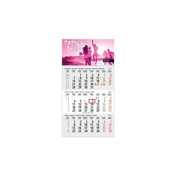 3-Monats DIN A3 Kalender "Trinus Euro"