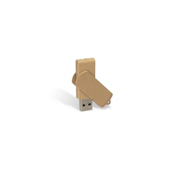 USB Stick Expert Eco Dummy braun